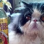 Alice Erwin - @wardog1947 - Instagram