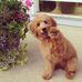 Alice Erwin - Facebook