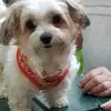 Alice Fabrizio Bishop - @alice.fabrizio.bi - TikTok