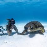 Alice Forrest - @aliceforrest - Instagram