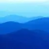 aliceforrest7 - @aliceforrest7 - TikTok