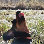 Alice Frey - @ali.ce_frey - Instagram