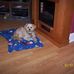 Alice Gartner - Facebook