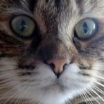 Alice Gaston - @lilisse7 - Instagram