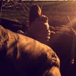 Alice Gemmill - @special_snapshots - Instagram