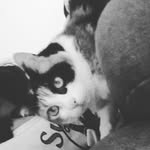 Alice Gregori - @gregorialice4 - Instagram