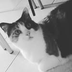 alice gregori - @gregori843 - Instagram