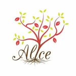 Alice - @alice.grillo - Instagram