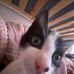 Alice Harding - Facebook