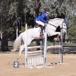 Alice Hogan - @alicehogan_eq11 - Instagram