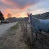 alice_hutton - @alice_hutton - TikTok