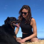 Alice Guillaumot | Chiens • Lifestyle - @alice_joppa - Instagram
