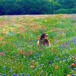 Alice Klar - @alice_klar - Instagram