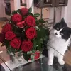 Alicja Kula - @alicekula - TikTok
