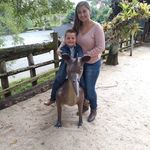 Alice Bernardo Kuster - @alicebernardokuster - Instagram