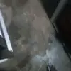 alice la belle - @alice.la.belle1 - TikTok
