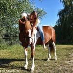 Lilice Laf - @laforest.alice - Instagram