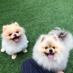 Narissapat Alice Lam - @alice_lamm - Instagram