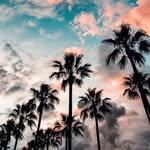 Alice Landers - @alicelanderss - Instagram