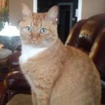 Alice Langlois - @alanglois1947gmailcom - Instagram