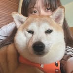 葉育秀 - @alice_alice_leaf_leaf - Instagram