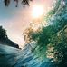 Alice Lemon - Facebook