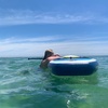 alicelomas - @alice.lomass - TikTok