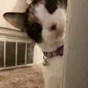 ️ - @alice.lopez170 - TikTok