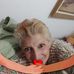Alice Lopez - Facebook