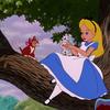 alicemckenzie60 - @alicemckenzie60 - TikTok