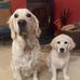 Alice Mead - Facebook