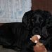 Alice Larch Munsey - Facebook