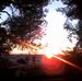 Alice Nardone - Facebook