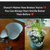 Alice Nathaniel - Facebook