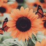 jacy_2020 - @jenefferalice144 - Instagram