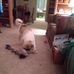 Alice Nemechek - Facebook