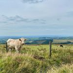 Alice Nicholson - @aliceonexmoor - Instagram