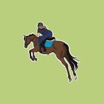 🌟Alice Nicholson🌟 - @typical.thoroughbred - Instagram