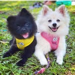 Alice & Theo & Noah - @alice_theo_noah - Instagram