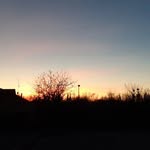 Alice - @alice_e_nulla - Instagram