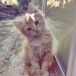 Alice Ebouli - Facebook