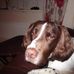 Alice Oconnor - Facebook