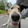 Ali.odonnell - @ali._od - TikTok