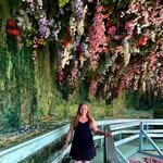 Alice Orange - @mrs.orangesartclass - Instagram
