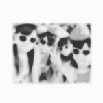 唯月 - @orange_alice_ - Instagram