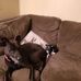 Alice Ormsby - Facebook