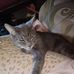 Alice Orr - Facebook