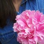 Ooh Alice - @alicjaostrowski - Instagram