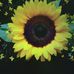 Alice Parra - Facebook