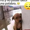 Aliceparra - @zumbao73 - TikTok